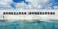 派币钱包怎么弄出来（派币钱包怎么弄出来的）