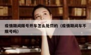 疫情期间限号开车怎么处罚的（疫情期间车不限号吗）