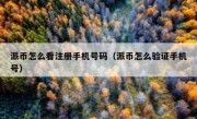 派币怎么看注册手机号码（派币怎么验证手机号）