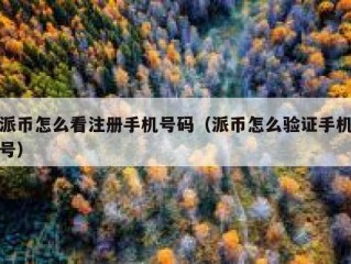 派币怎么看注册手机号码（派币怎么验证手机号）