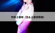 咋样上推特（怎么上推特教程）