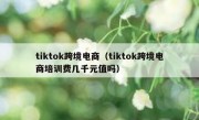 tiktok跨境电商（tiktok跨境电商培训费几千元值吗）