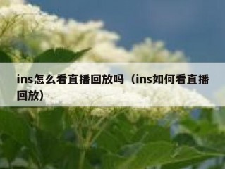 ins怎么看直播回放吗（ins如何看直播回放）