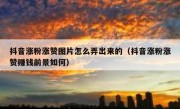 抖音涨粉涨赞图片怎么弄出来的（抖音涨粉涨赞赚钱前景如何）