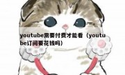 youtube需要付费才能看（youtube订阅要花钱吗）