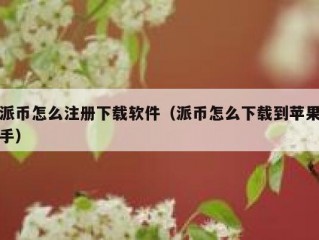 派币怎么注册下载软件（派币怎么下载到苹果手）