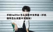 手机twitter怎么设置中文界面（手机推特怎么设置中文版本）