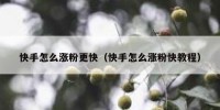 快手怎么涨粉更快（快手怎么涨粉快教程）