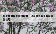公众号如何查看粉丝群（公众号怎么查看粉丝微信号）