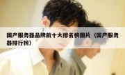 国产服务器品牌前十大排名榜图片（国产服务器排行榜）