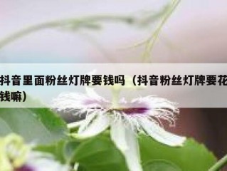 抖音里面粉丝灯牌要钱吗（抖音粉丝灯牌要花钱嘛）