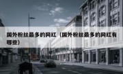 国外粉丝最多的网红（国外粉丝最多的网红有哪些）