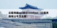 云服务器api接口comfyui（云服务器端口号怎么看）