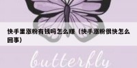快手里涨粉有钱吗怎么赚（快手涨粉很快怎么回事）