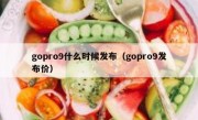 gopro9什么时候发布（gopro9发布价）