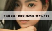 中国服务器上市公司（服务器上市龙头企业）
