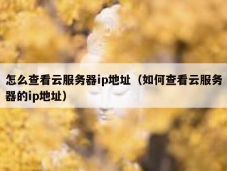 怎么查看云服务器ip地址（如何查看云服务器的ip地址）
