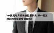 ins回复对方的快拍能看到么（ins回复对方的快拍能看到么吗）