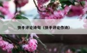 快手评论诗句（快手评论作诗）