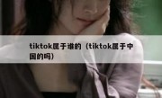 tiktok属于谁的（tiktok属于中国的吗）