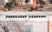 抖加加粉丝还是加赞（抖音加粉有用吗）