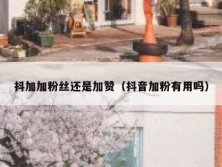 抖加加粉丝还是加赞（抖音加粉有用吗）
