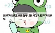 微博下载设置权限在哪（微博怎么打开下载权限）