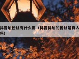 抖音加粉丝有什么用（抖音抖加的粉丝是真人吗）