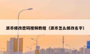 派币修改密码视频教程（派币怎么修改名字）
