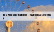 抖音加粉丝团有钱赚吗（抖音加粉丝团有啥用）