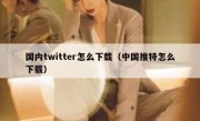 国内twitter怎么下载（中国推特怎么下载）