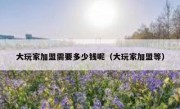 大玩家加盟需要多少钱呢（大玩家加盟等）