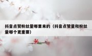 抖音点赞粉丝量哪里来的（抖音点赞量和粉丝量哪个更重要）