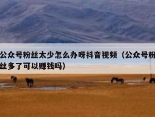 公众号粉丝太少怎么办呀抖音视频（公众号粉丝多了可以赚钱吗）