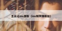 怎么让ins涨粉（ins如何涨粉丝）
