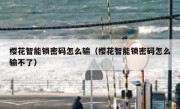 樱花智能锁密码怎么输（樱花智能锁密码怎么输不了）