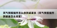 天气预报插件怎么放到桌面去（天气预报插件到桌面怎么设置）