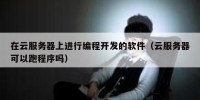 在云服务器上进行编程开发的软件（云服务器可以跑程序吗）