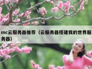 mc云服务器推荐（云服务器搭建我的世界服务器）