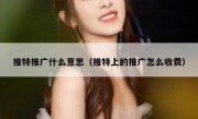推特推广什么意思（推特上的推广怎么收费）