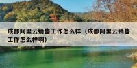 成都阿里云销售工作怎么样（成都阿里云销售工作怎么样啊）