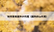 如何使用国外IP代理（国外的ip代理）