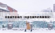 抖音国外影响力（抖音在国外的发展情况）
