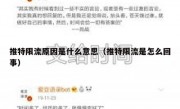 推特限流原因是什么意思（推特限流是怎么回事）