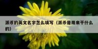 派币的英文名字怎么填写（派币是用来干什么的）