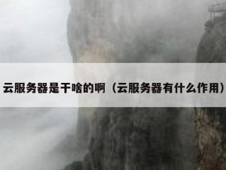 云服务器是干啥的啊（云服务器有什么作用）