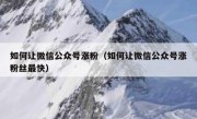 如何让微信公众号涨粉（如何让微信公众号涨粉丝最快）