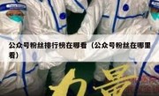 公众号粉丝排行榜在哪看（公众号粉丝在哪里看）