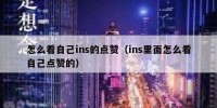 怎么看自己ins的点赞（ins里面怎么看自己点赞的）