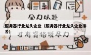 服务器行业龙头企业（服务器行业龙头企业排名）